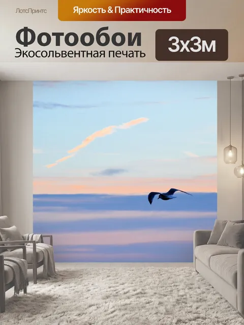 Фотообои Чайка