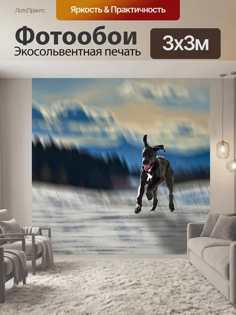 Фотообои Собака