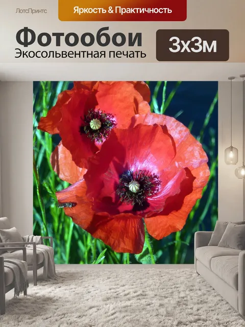 Фотообои Маки