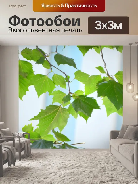 Фотообои Листья Sycamore