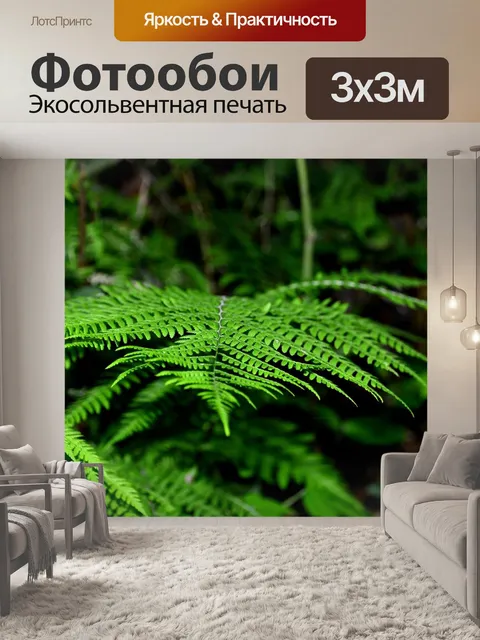 Фотообои Папоротник