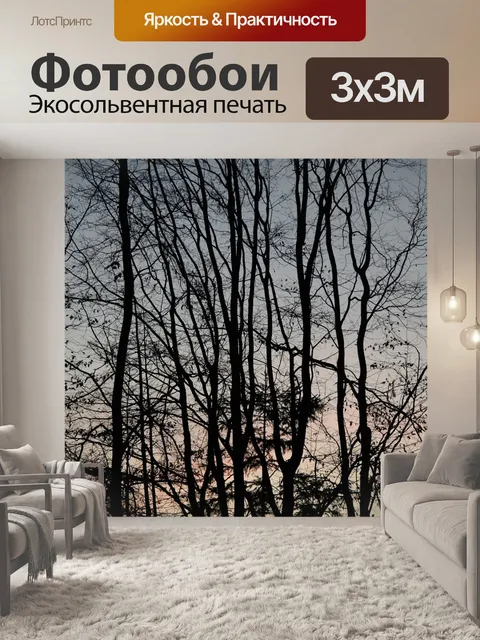 Фотообои Деревья