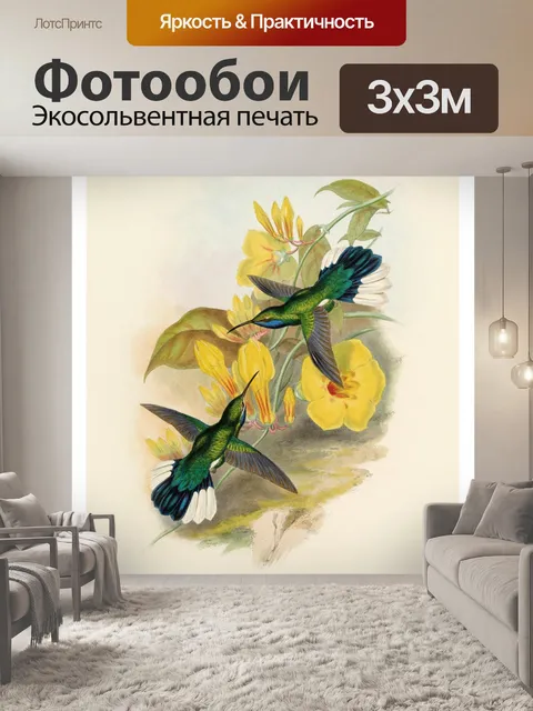 Фотообои Колибри птица винтаж старый