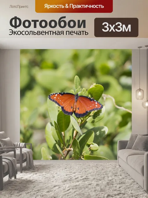 Фотообои Бабочка