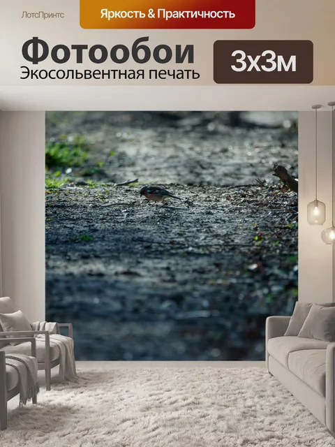 Фотообои Воробей