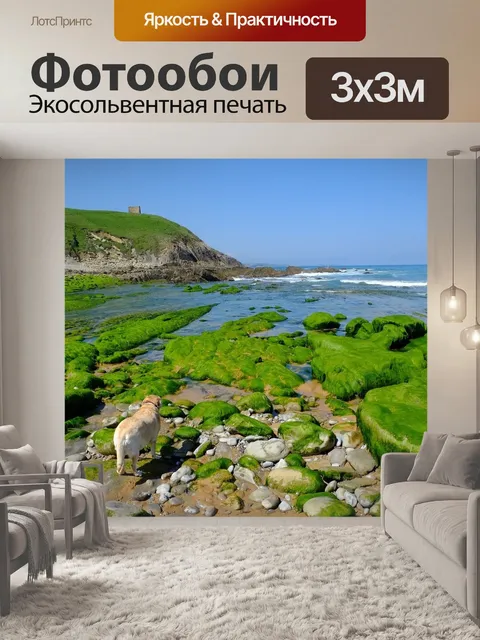 Фотообои Пляж