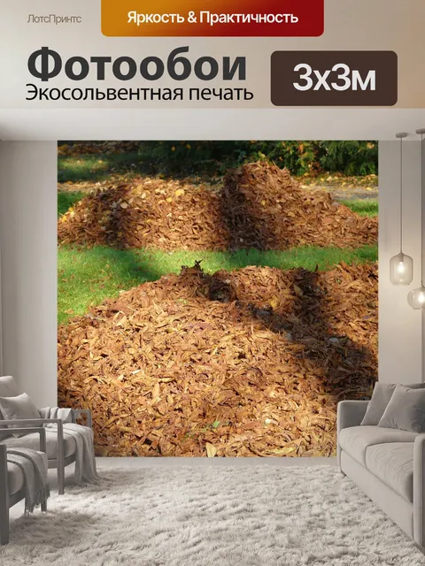 Фотообои Листья