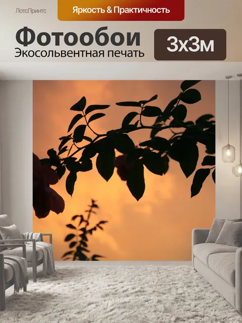 Фотообои Оранжевое небо