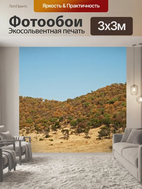 Фотообои покрытый деревьями внешний край кратера