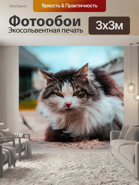 Фотообои Кошка