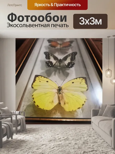 Фотообои Бабочка