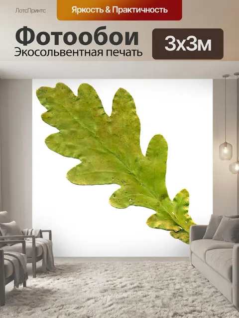 Фотообои Лист