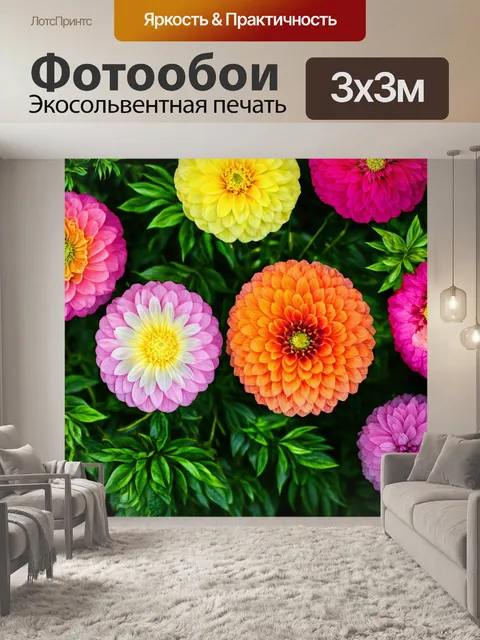 Фотообои розы в стиле модерн, сочетание графических элементов и реалистичных изображений цветов, акцент на минимализм