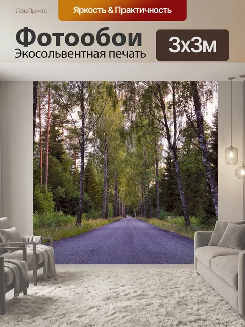 Фотообои Дорога
