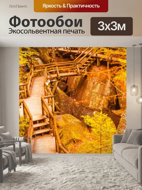 Фотообои тропа для променада