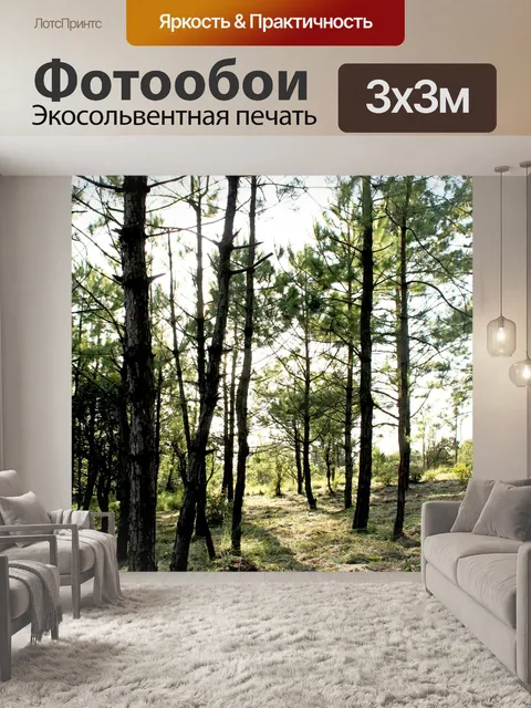 Фотообои Природа соснового леса в Фу Руа