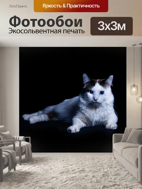 Фотообои Кошка