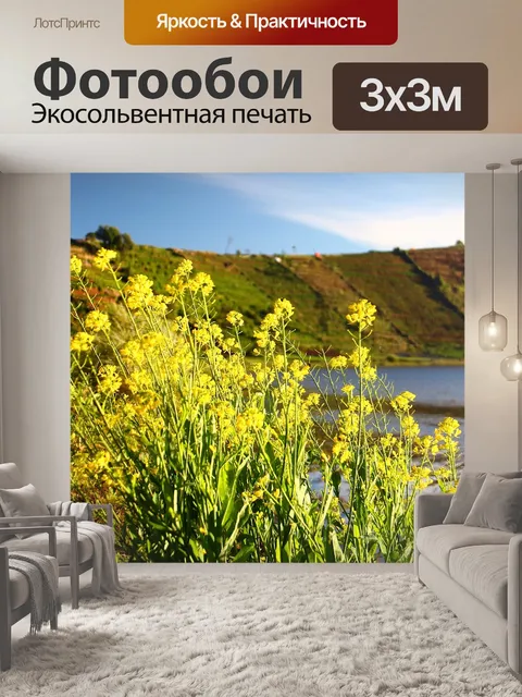Фотообои Цветок