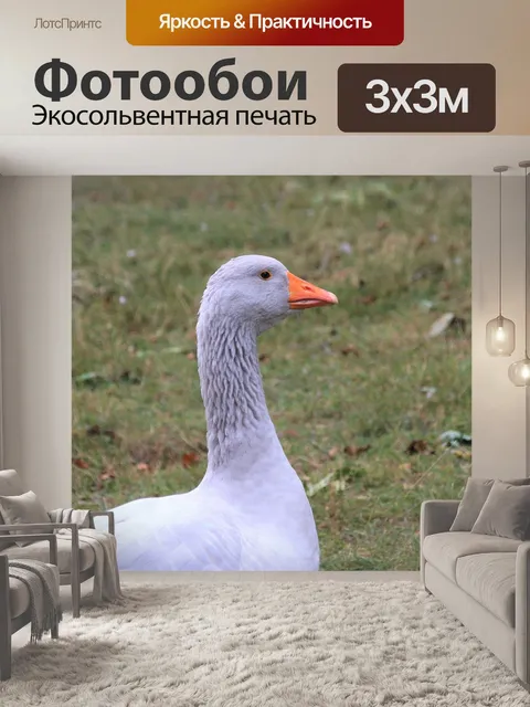 Фотообои Гусь
