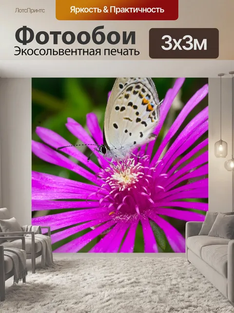 Фотообои Бабочка