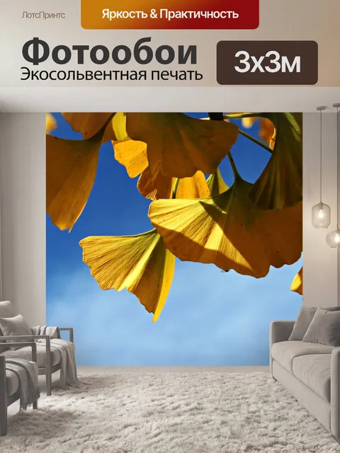 Фотообои Листья гинко
