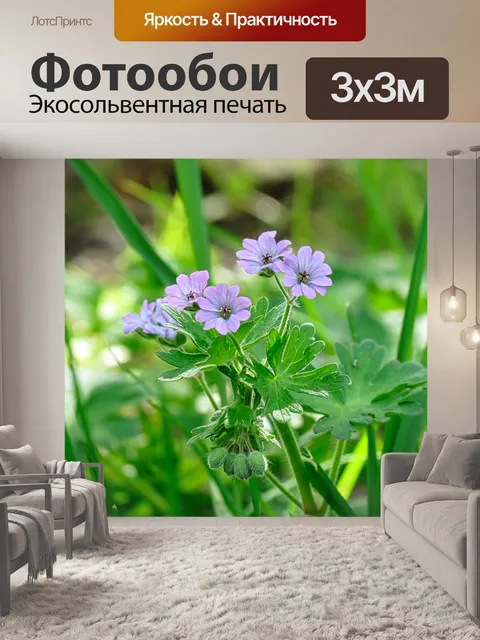 Фотообои Цветы