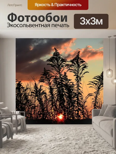 Фотообои Закат