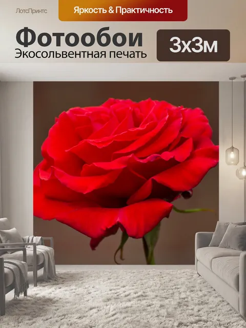 Фотообои Цветок