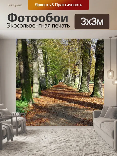 Фотообои Парк