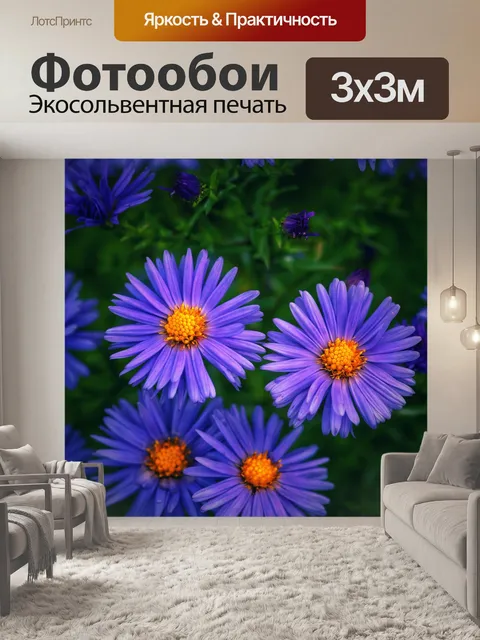 Фотообои Блоссом цветник природа