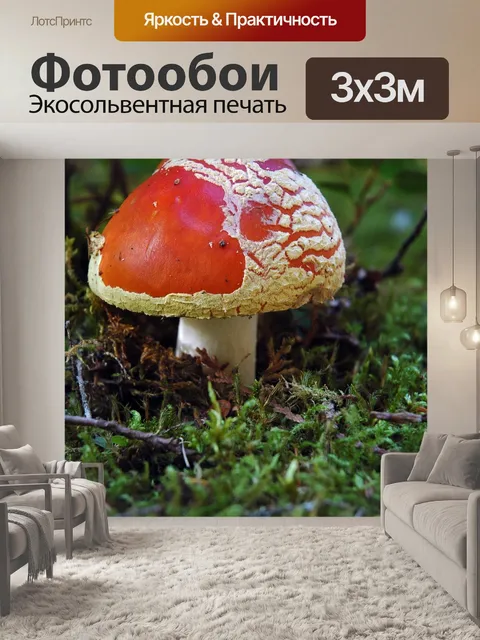 Фотообои Гриб