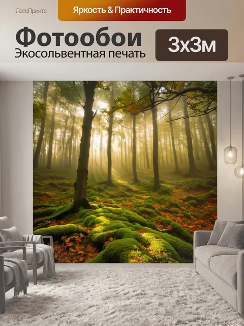Фотообои лес, утопающий в утреннем тумане, покрытый яркими зелеными мхами и с пожелтевшими листьями