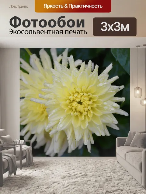Фотообои Цветы