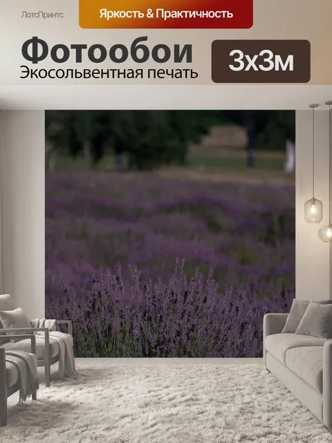Фотообои Лаванда