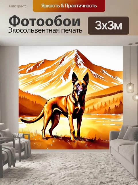 Фотообои изображение бельгийской овчарки малинуа, стоящей на фоне живописного горного пейзажа в золотых тонах заката