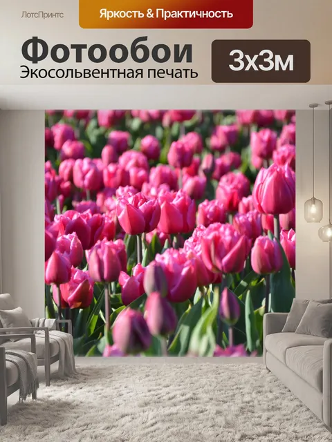 Фотообои Тюльпаны