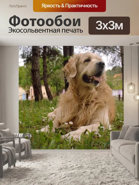 Фотообои Собака