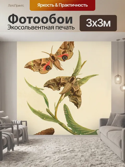Фотообои Бабочки винтаж искусство старый