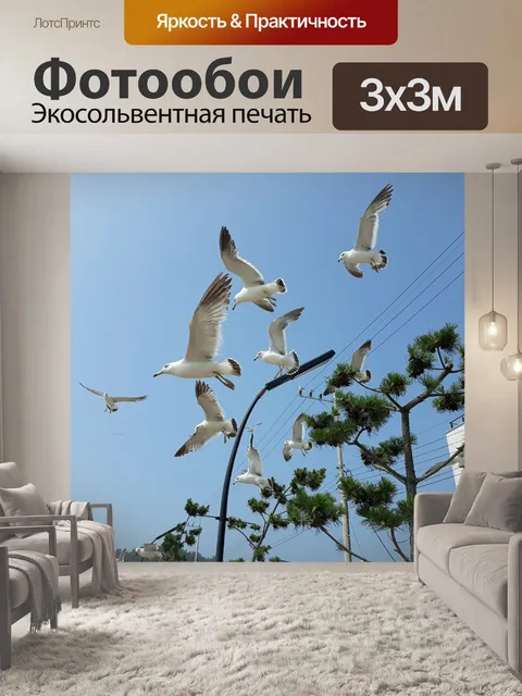 Фотообои Чайка