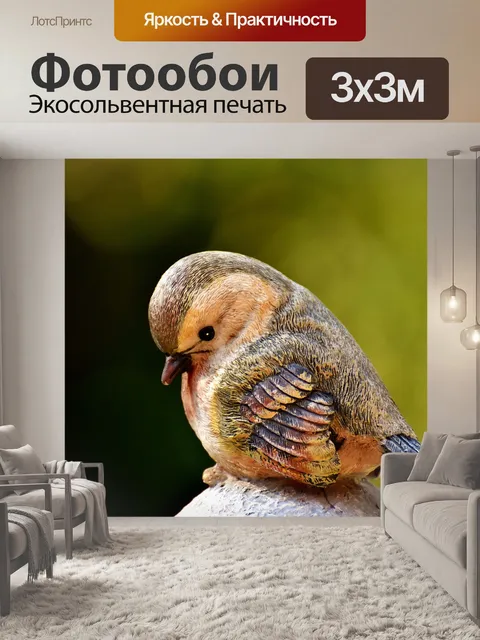 Фотообои Птица