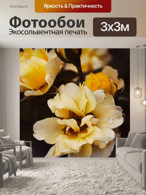 Фотообои Роза