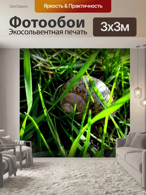 Фотообои Солнце