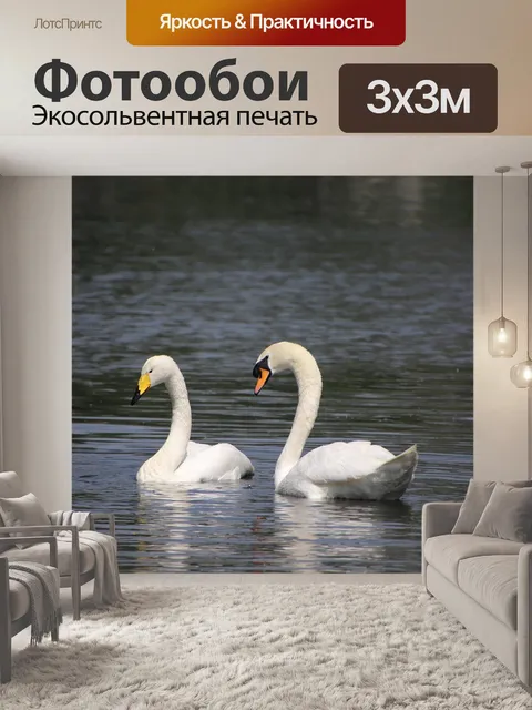 Фотообои Лебеди