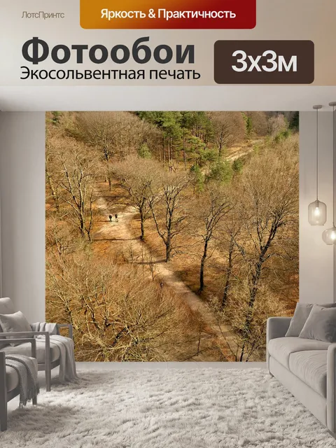 Фотообои Лес
