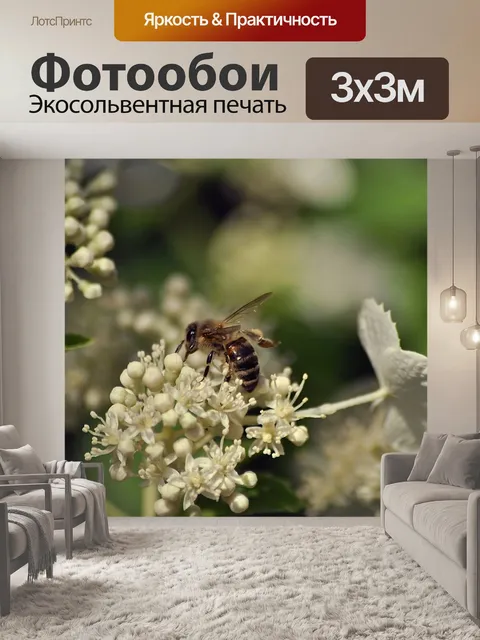 Фотообои Цветы