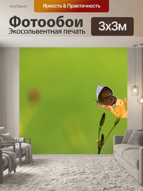 Фотообои Бабочка