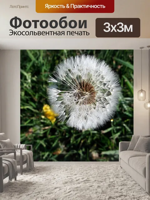 Фотообои Одуванчик