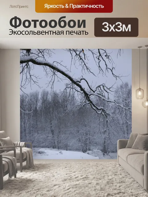 Фотообои Зима