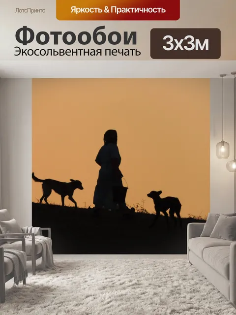 Фотообои Заход солнца