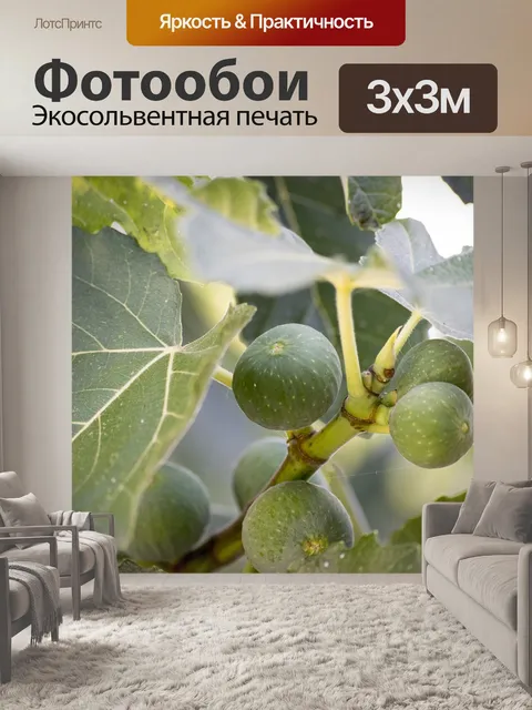 Фотообои Фига